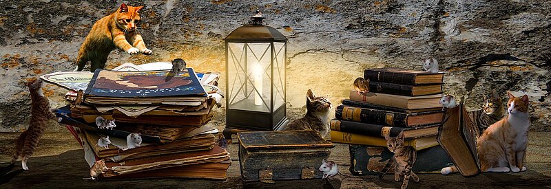 Die Bücherei St. Mauritius Erbach